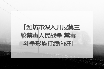 潍坊市深入开展第三轮禁毒人民战争 禁毒斗争形势持续向好